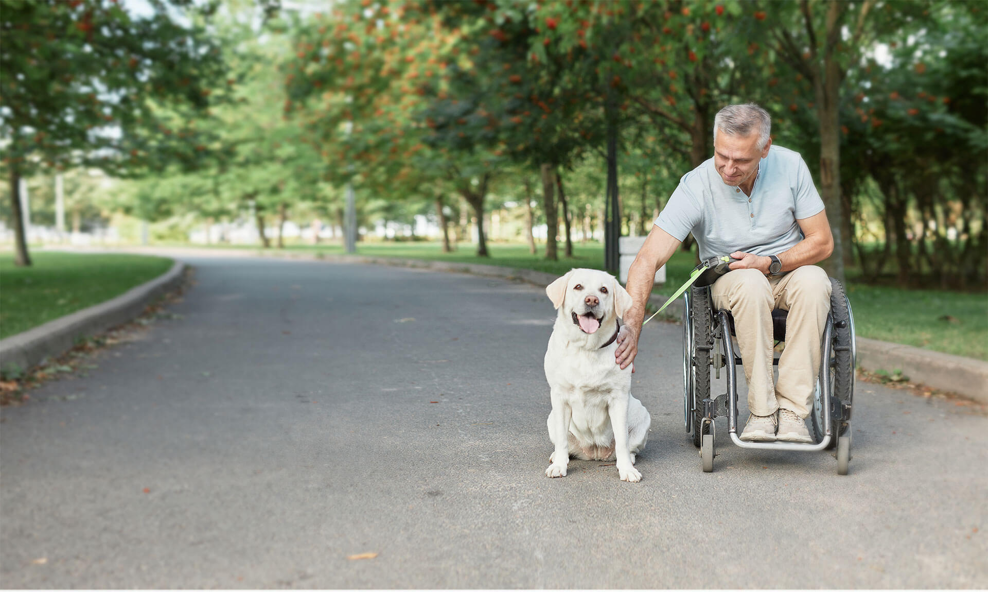 Man in wheel chair petting dog.